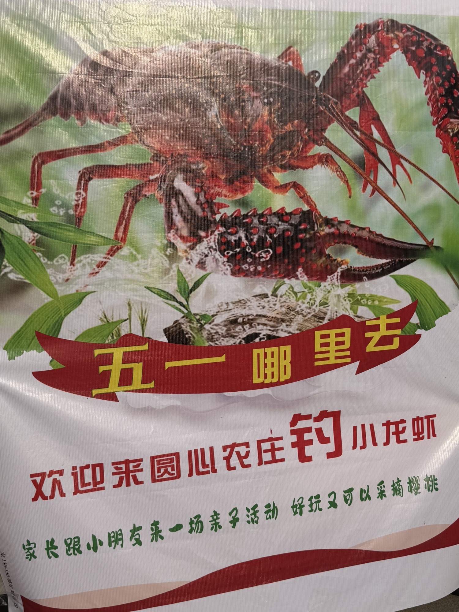 圆心乐园钓场环境照片