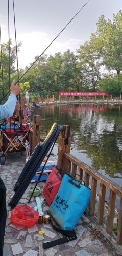 山水湾垂钓园钓场环境照片