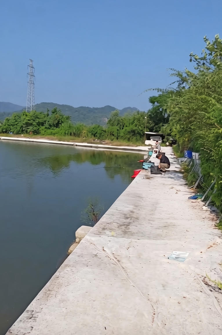 今天垂钓园钓场环境照片