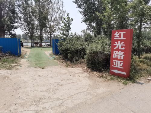 红光路亚基地钓场环境照片
