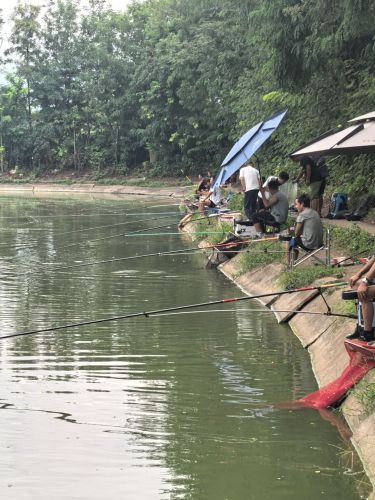 宣窝垂钓园钓场环境照片