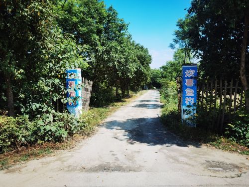 崇州欢喜垂钓园钓场环境照片