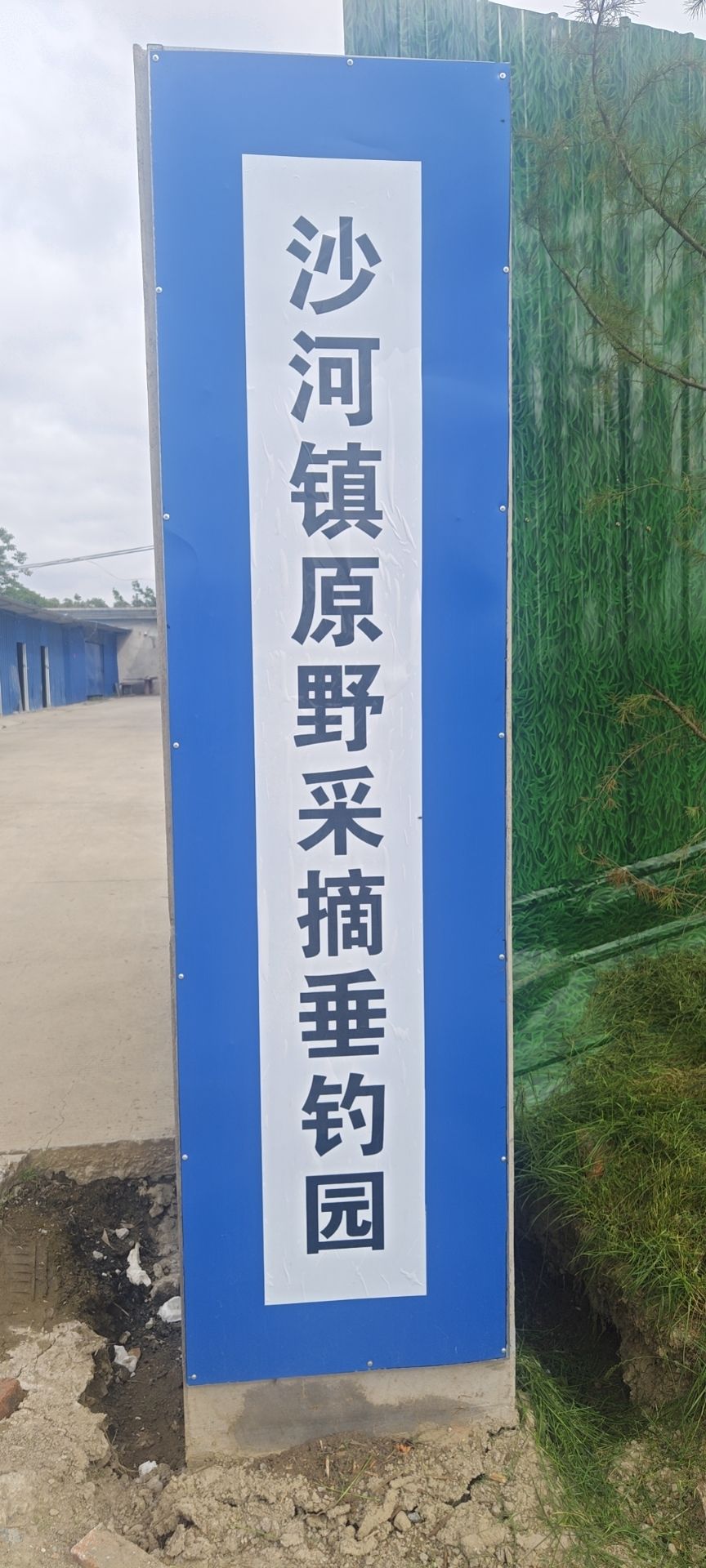 沙河镇原野采摘垂钓园钓场环境照片