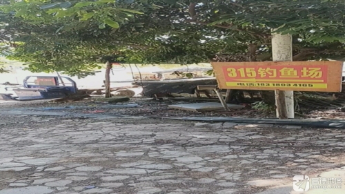 315钓场钓场环境照片