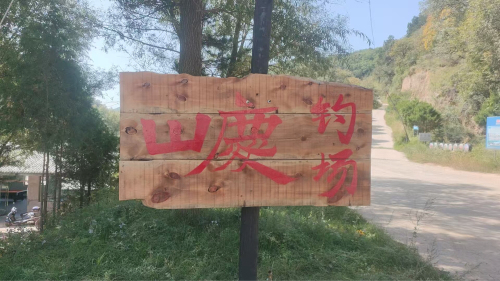 延安山庆钓场钓场环境照片