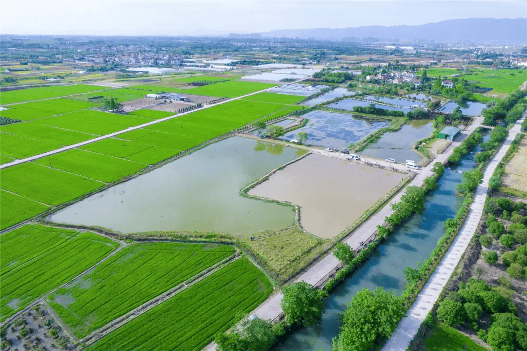浙江省金华市婺城区华态家庭农场龙虾垂钓基地钓场环境缩略图