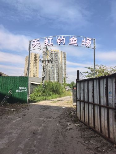 天虹钓鱼场钓场环境照片