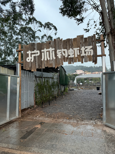 护林钓虾场钓场环境照片
