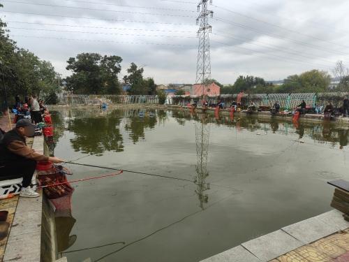 宝鸡豆苗垂钓园钓场环境照片
