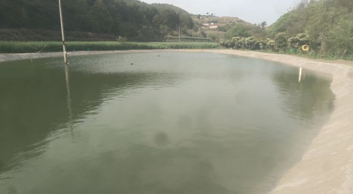 河溪垂钓园钓场环境照片