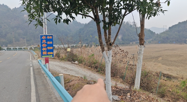 水天垂钓园钓场环境照片