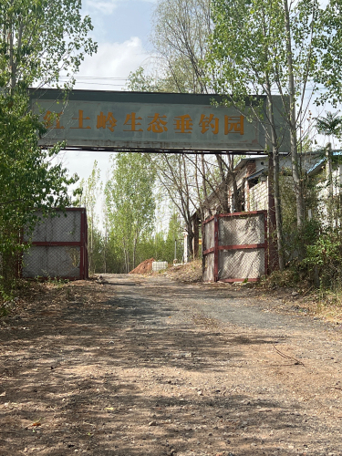 红土岭生态垂钓园钓场环境照片