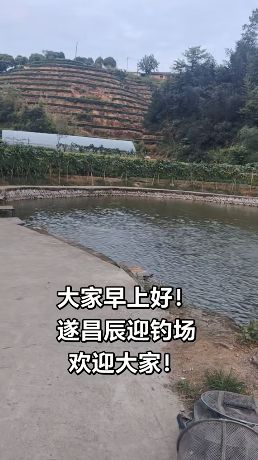 遂昌辰迎钓场钓场环境照片