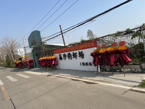 高沙钓虾场钓场环境照片