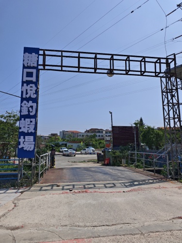 糖口悦钓虾场钓场环境照片