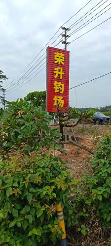 荣升鲢鳙钓场钓场环境照片