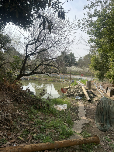 成都景山鲢鳙垂钓俱乐部钓场环境照片