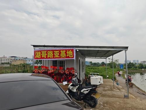 湖哥路亚基地钓场环境照片