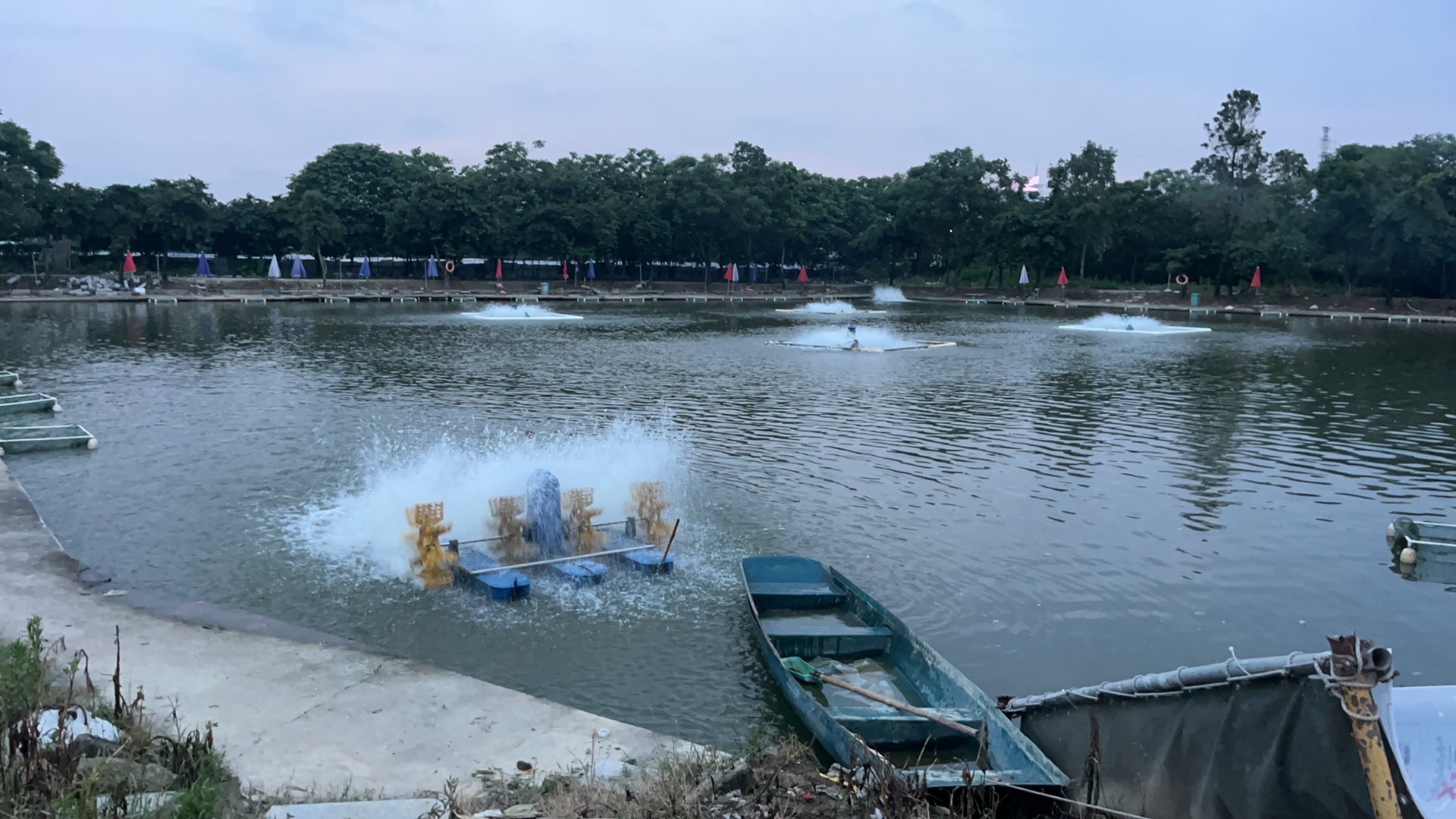 新南区六号钓鱼场钓场环境照片