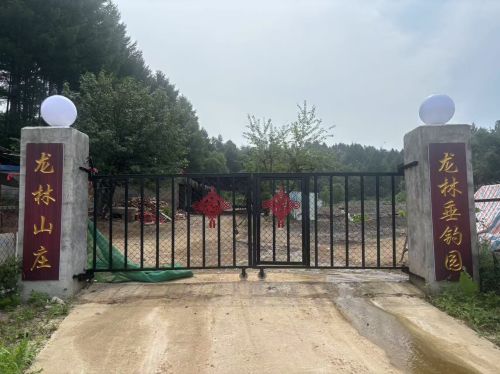龙林山庄垂钓园钓场环境照片