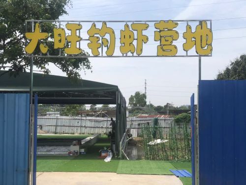 大旺钓虾营地钓场环境照片