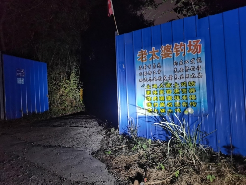 高坪区老太婆垂钓基地钓场环境照片
