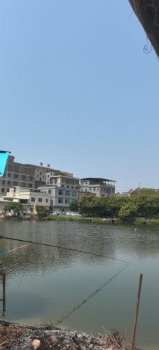 老孙垂钓基地钓场环境照片