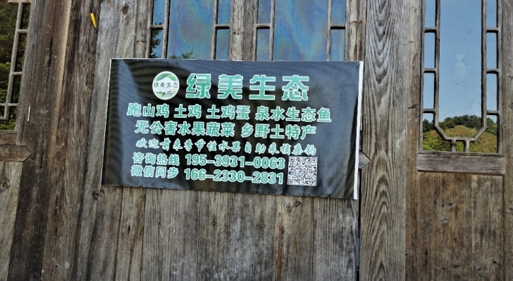 绿美生态钓场环境照片