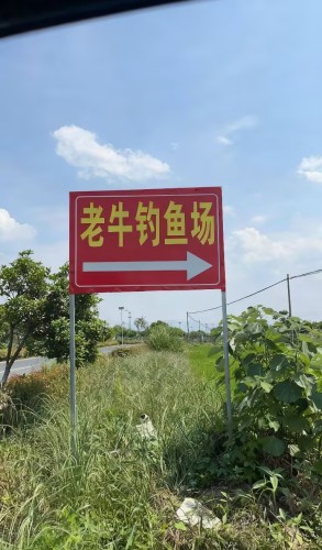 老牛钓鱼场(伦教店)钓场环境照片