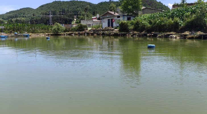 鼎盛垂钓场钓场环境照片