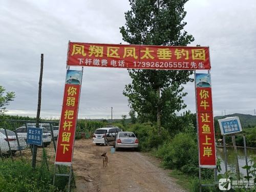 凤太垂钓园钓场环境照片