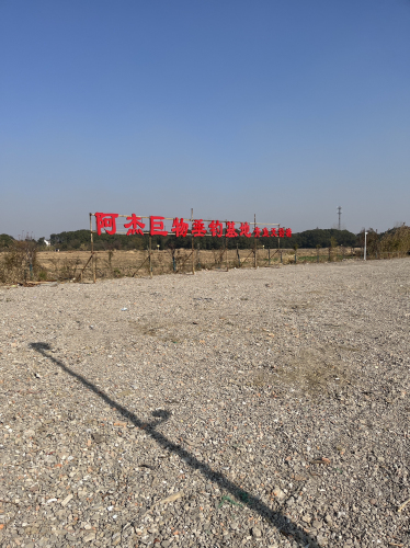 阿杰巨物垂钓基地钓场环境照片
