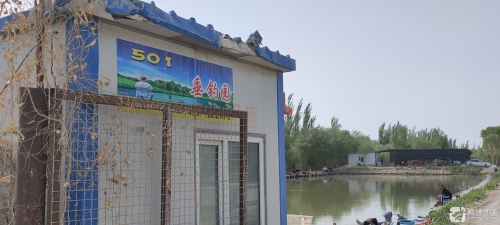 501休闲垂钓园钓场环境照片