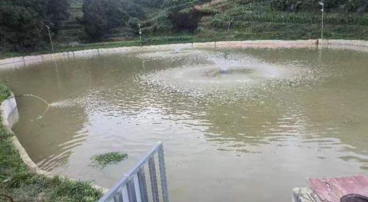 大坡田老二鱼塘钓场环境照片