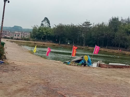 国泰山庄休闲钓鱼基地钓场环境照片