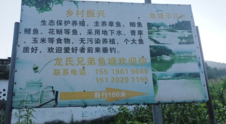 龙氏兄弟鱼塘钓场环境照片