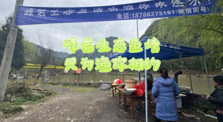 峰岩鱼塘钓场环境照片