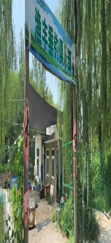 渔丰垂钓俱乐部钓场环境照片