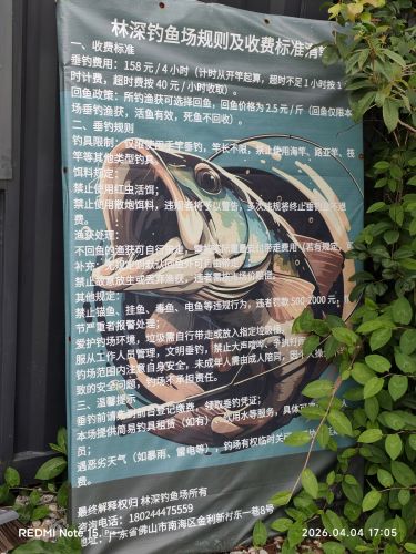 林深钓鱼营地钓场环境照片