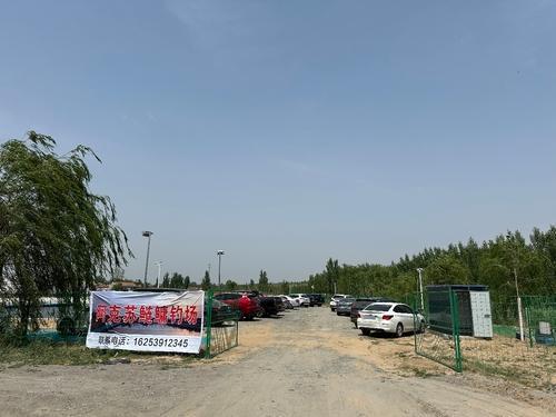 阿克苏鲢鳙钓场钓场环境照片