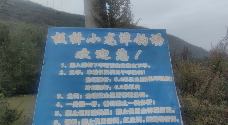 板桥小龙潭钓场钓场环境照片