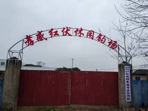 德阳市孝感红伏休闲钓场钓场环境照片