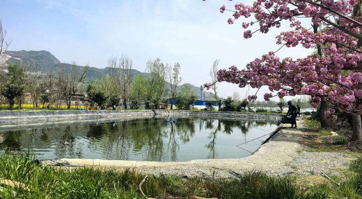 广化许家河垂钓园钓场环境照片