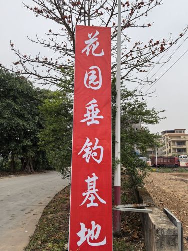 佛山花园垂钓鱼场钓场环境照片