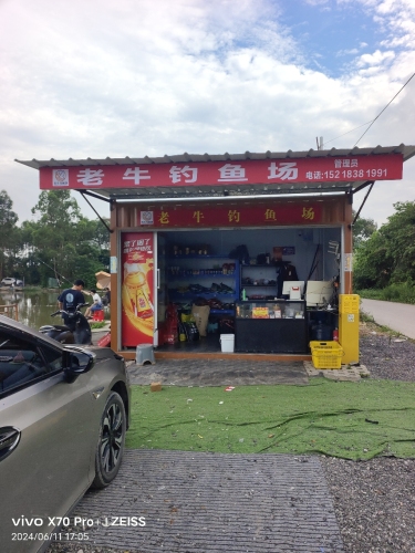 老牛钓鱼场(花都店)钓场环境照片