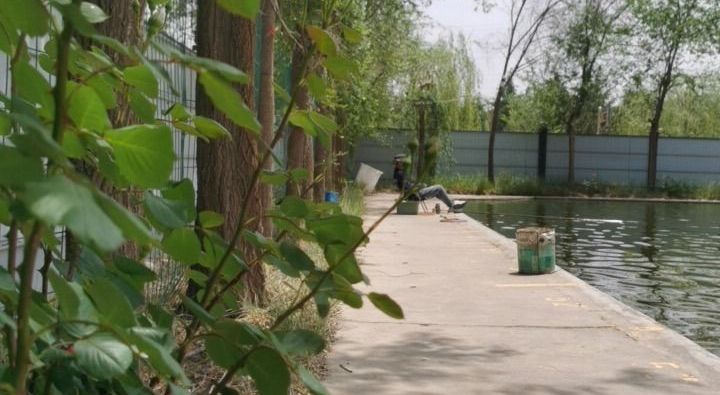 西固鱼多多垂钓园钓场环境缩略图