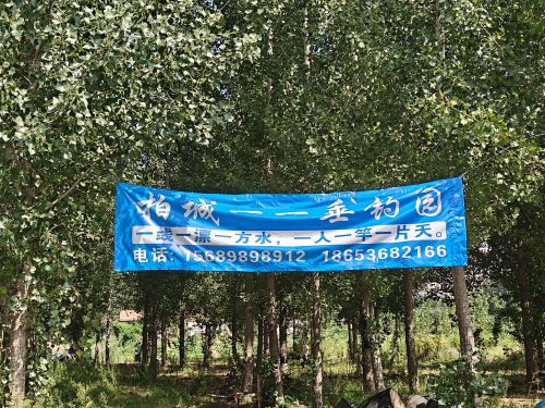 柏城一一垂钓园钓场环境照片