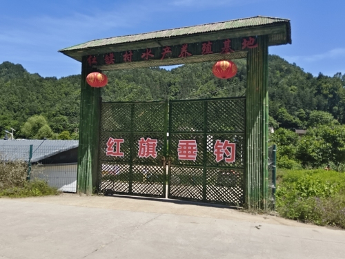 红旗垂钓园钓场环境照片