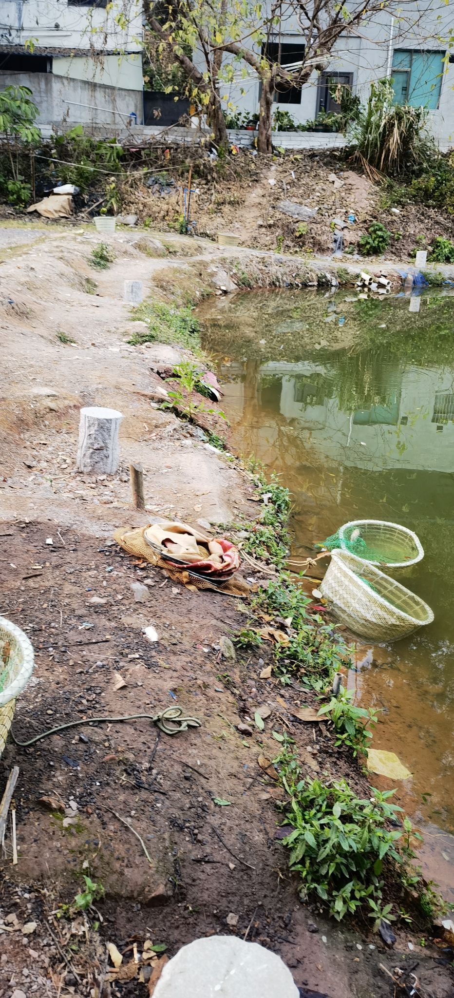 杨梅岭路亚钓鱼场钓场环境照片
