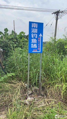 南湖钓鱼场钓场环境照片